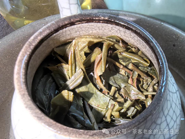 吾茶共饮2024年江湖合道普洱茶