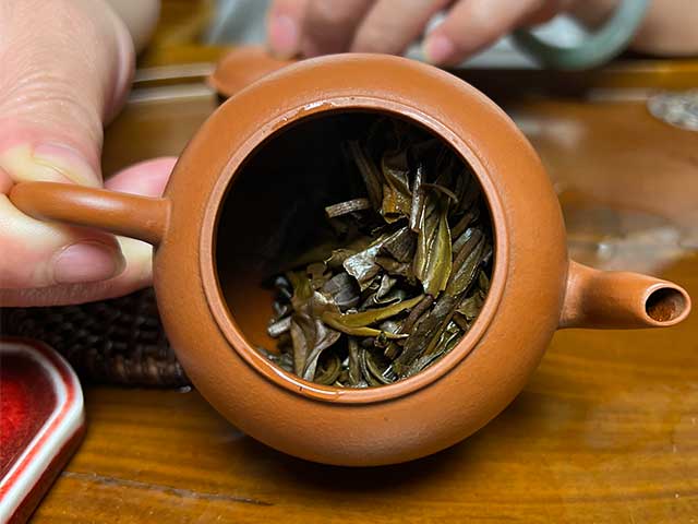 图为2010年易武刮风寨茶树王古树茶