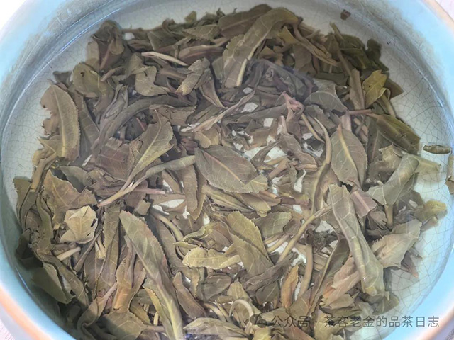 苦行茶僧2024年勐海国有林普洱茶品质特点