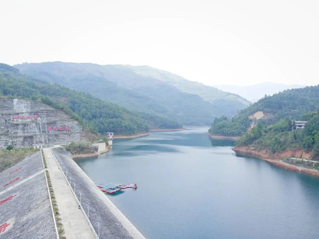 2024龙润国茶冰岛生茶普洱茶