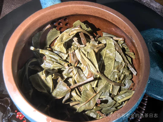 2023年哆依树普洱茶品质特点