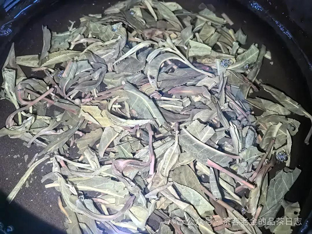 2023年哆依树普洱茶品质特点