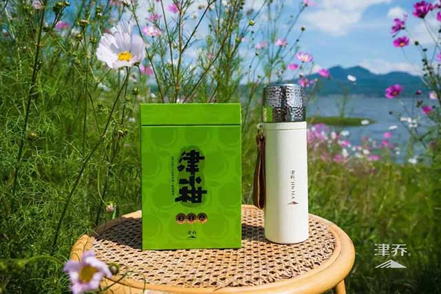 津乔普洱