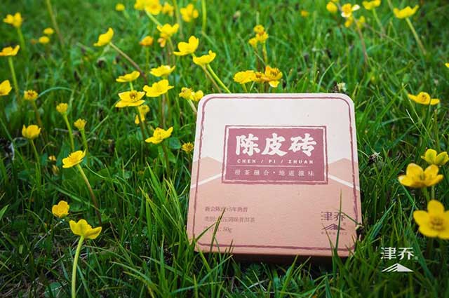 津乔普洱