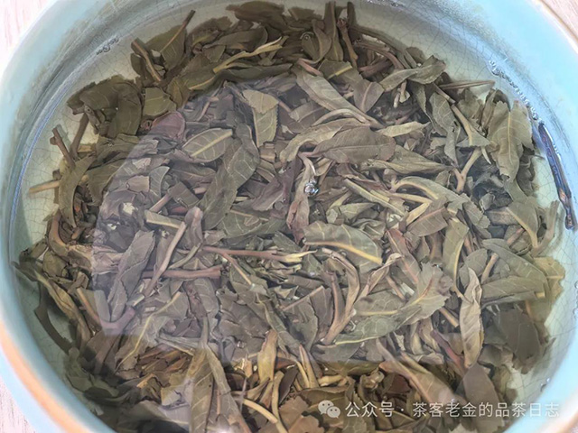 孙德忠2020年特殊白茶园普洱茶品质特点