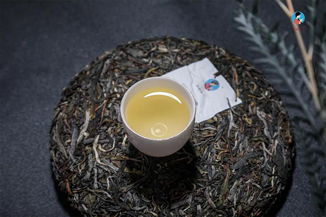 纵横古树春茶茶汤茶饼