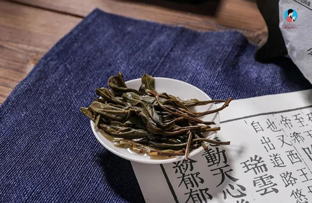 茶王树乔木头春茶叶底