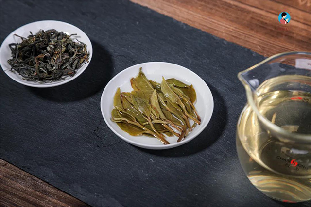 麻黑古树春茶叶底
