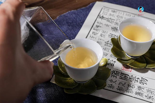 茶王树乔木头春茶茶汤