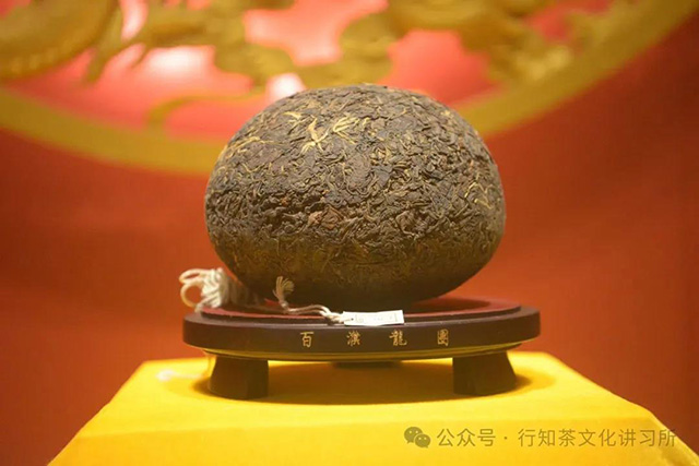 普洱大茶