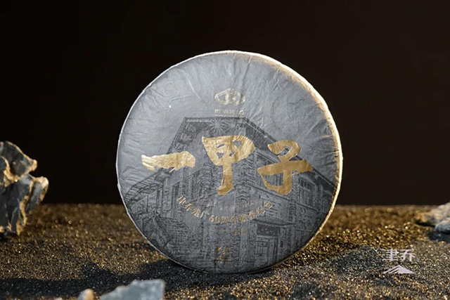 津乔普洱一甲子黑金