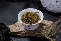 普洱茶到底需不需要洗茶？