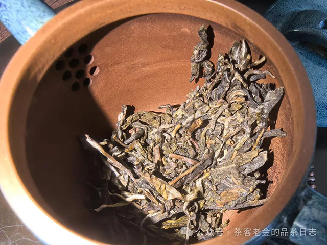 吾茶共饮2024年如澜普洱茶品质特点