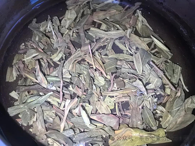 吾茶共饮2024年如澜普洱茶品质特点