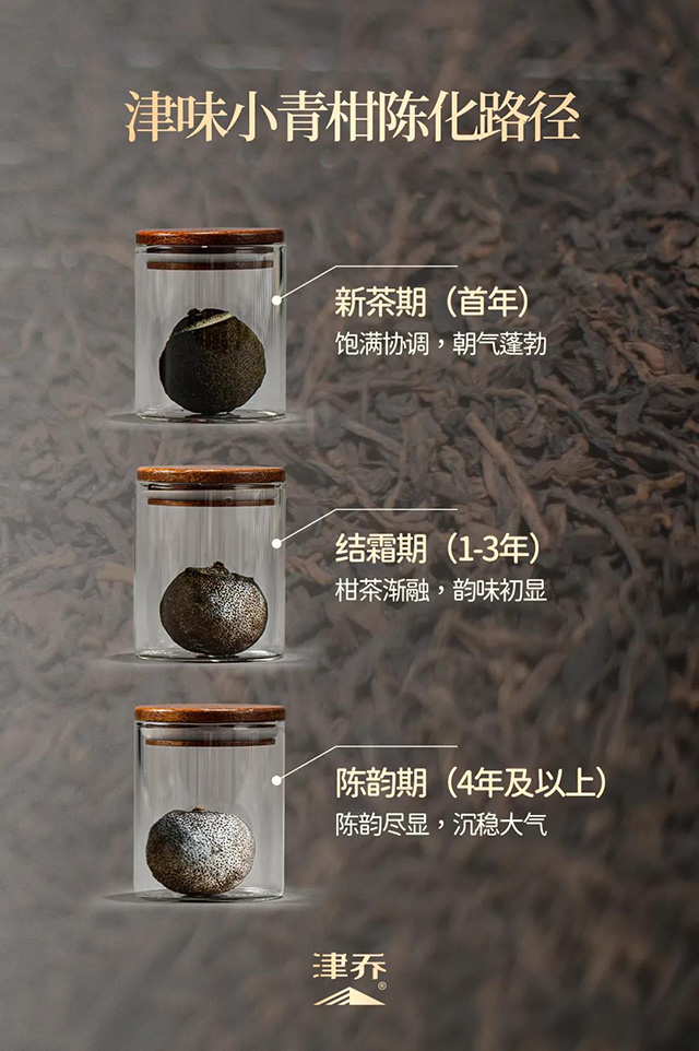 津乔普洱