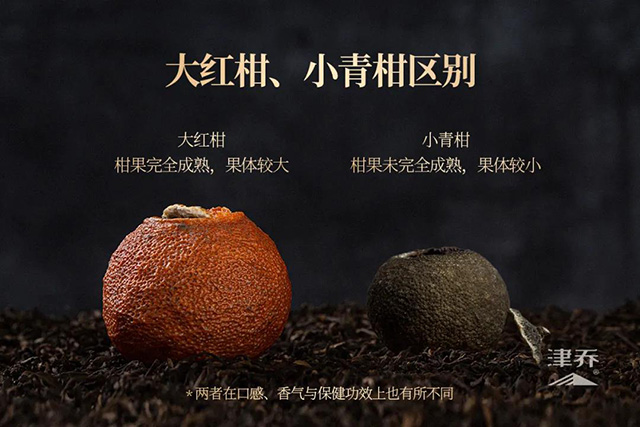 津乔普洱