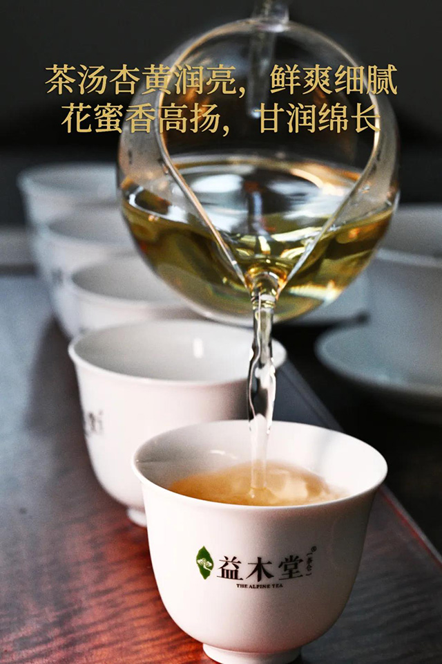 益木堂易武七子饼普洱茶