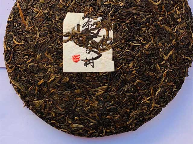 图为老郎河2006年布朗古树
