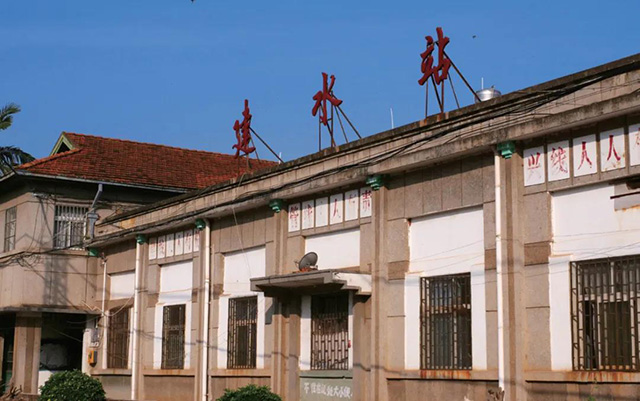 普洱杂志