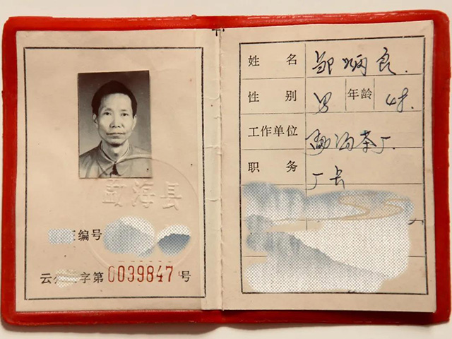 海湾茶业