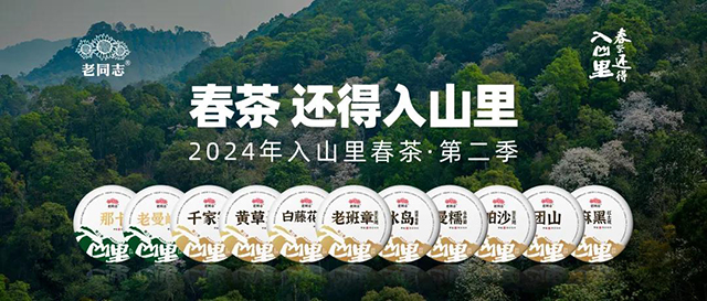 老同志入山里普洱茶