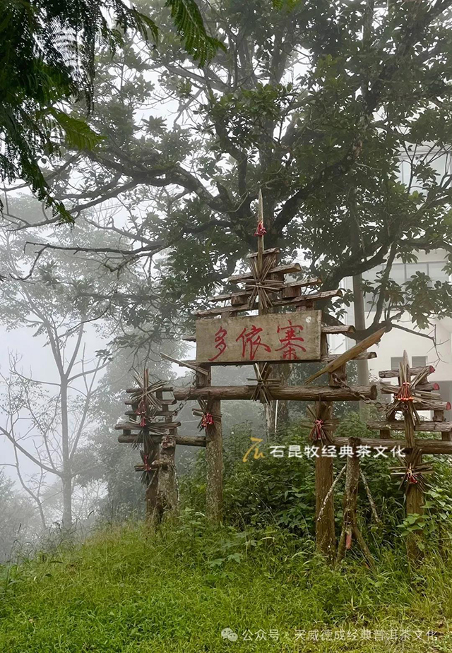 天威德成经典普洱茶文化