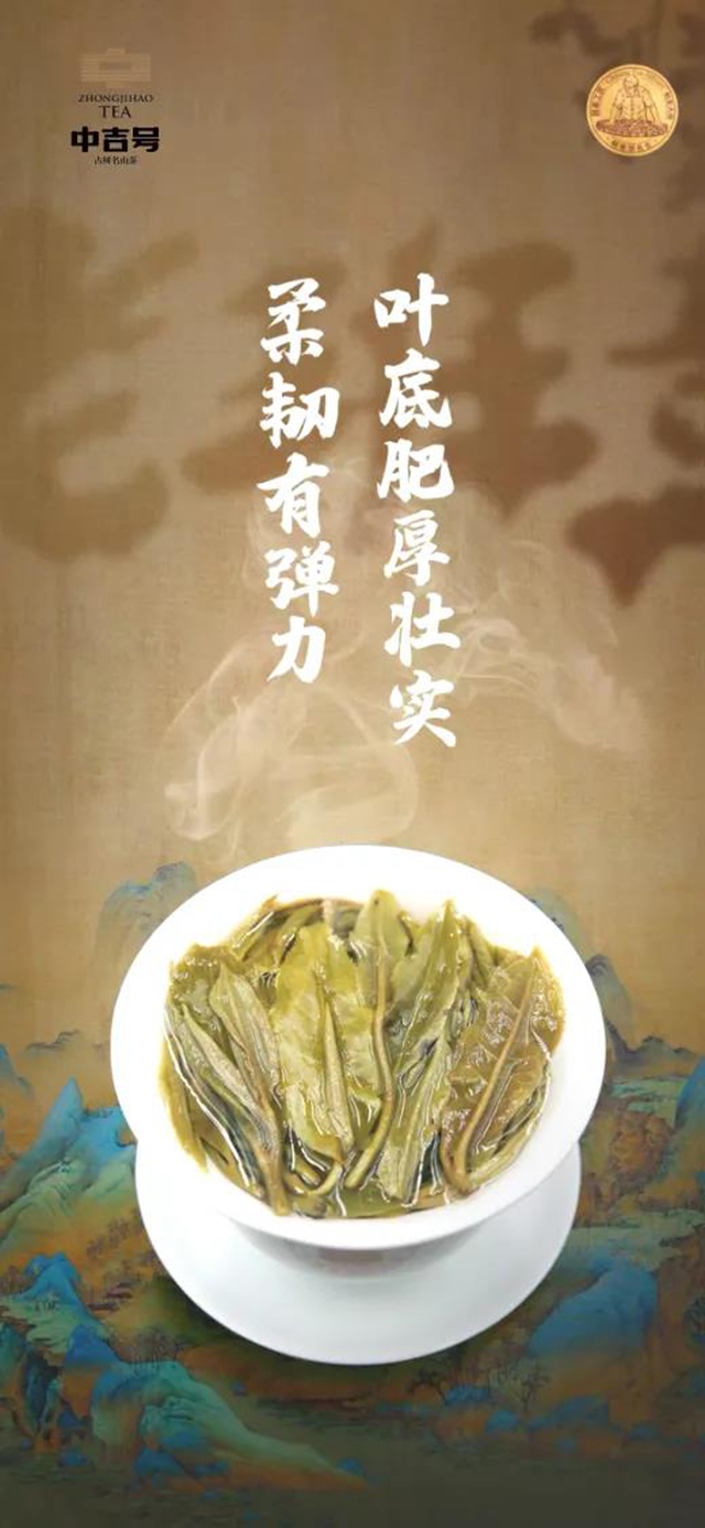 2024中吉号老班章125克小饼品质特点
