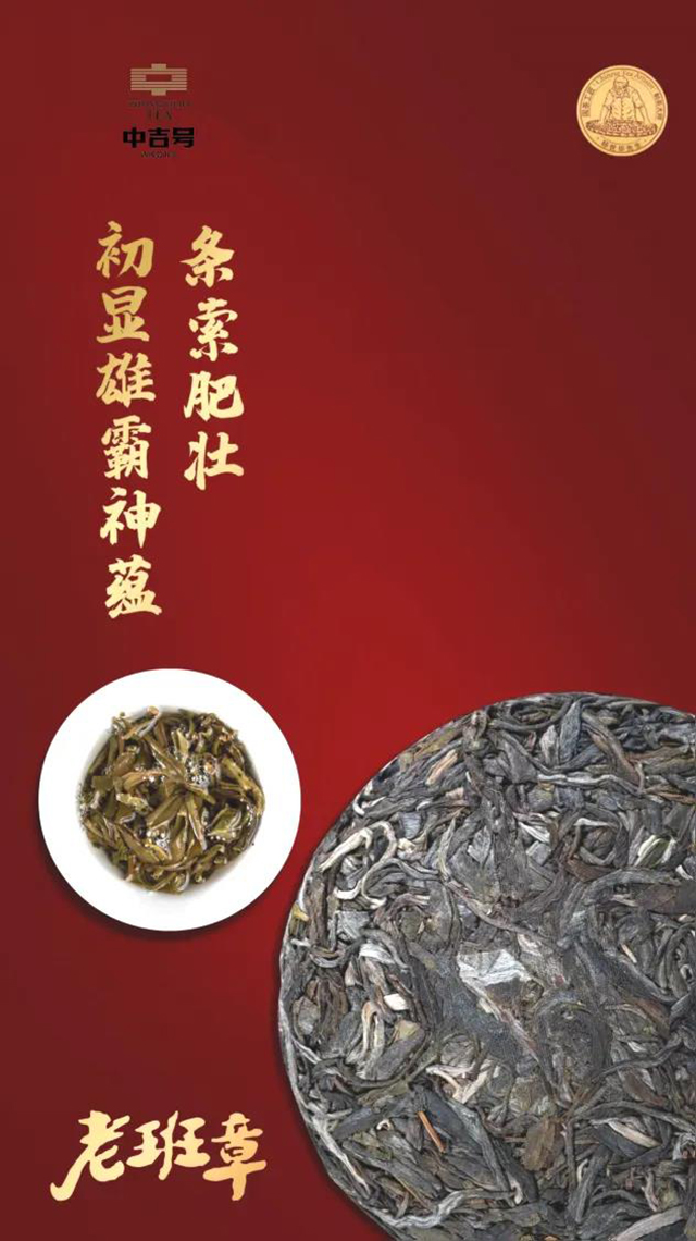 2024中吉号老班章125克小饼品质特点