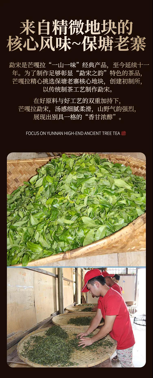 芒嘎拉古茶勐宋普洱茶品质特点