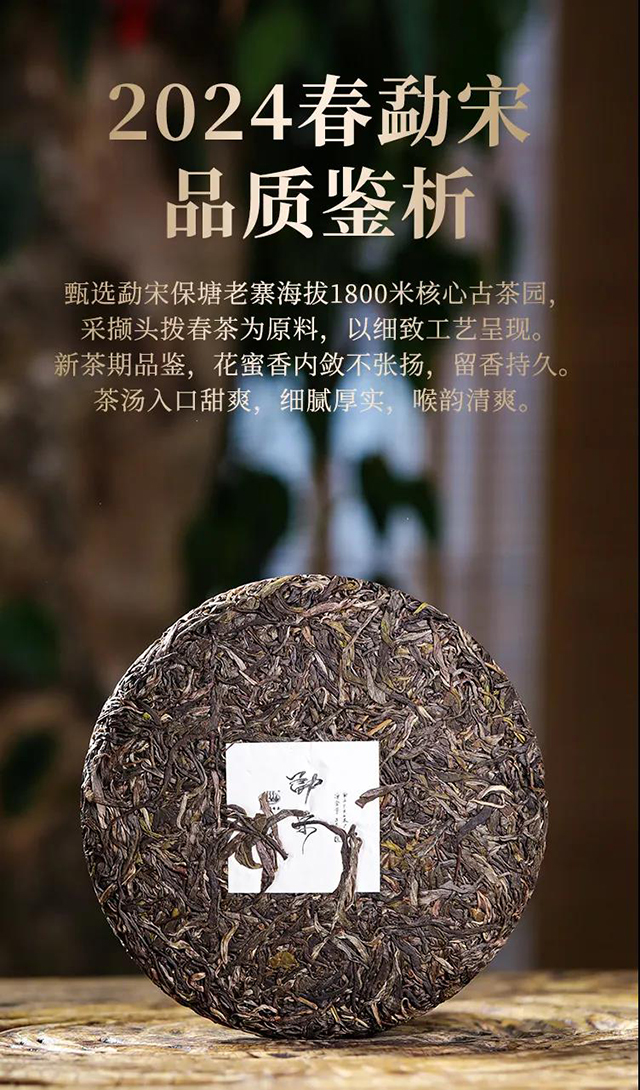 芒嘎拉古茶勐宋普洱茶品质特点
