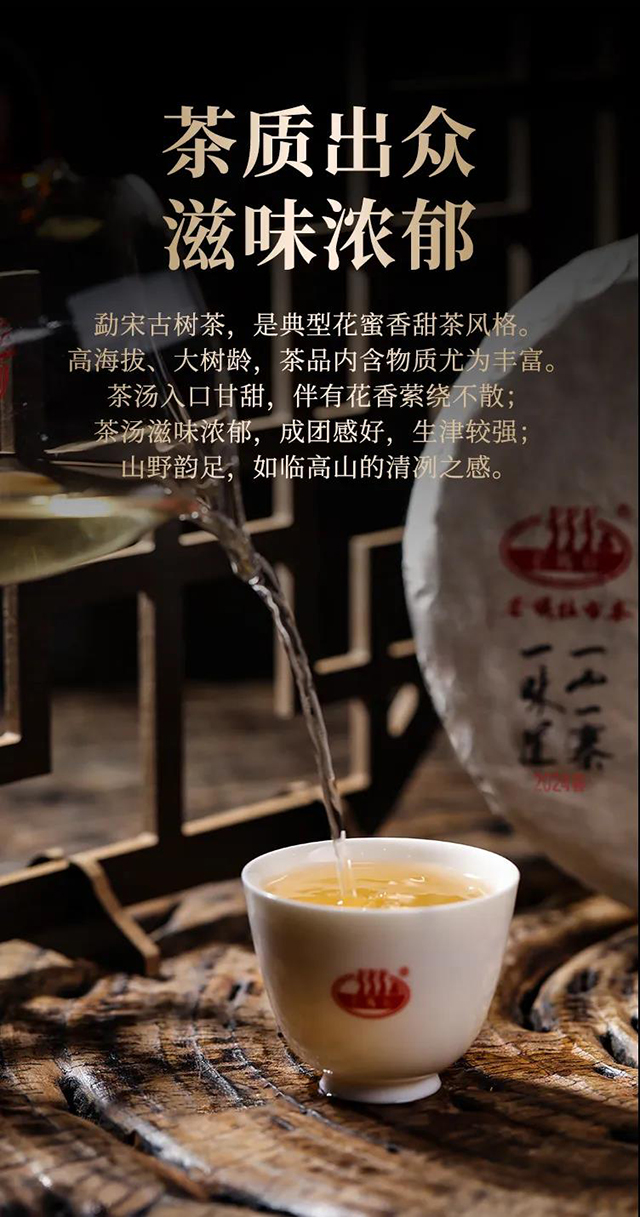 芒嘎拉古茶勐宋普洱茶品质特点