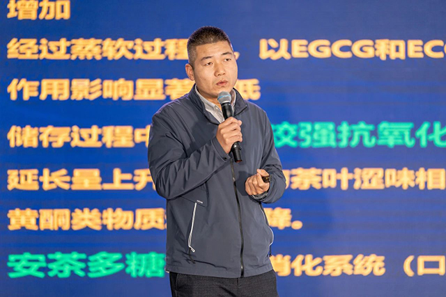 祥源安茶工厂投产仪式