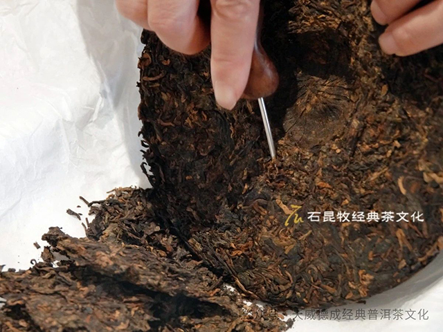 天威德成2024年品鉴熟茶普洱茶品质特点