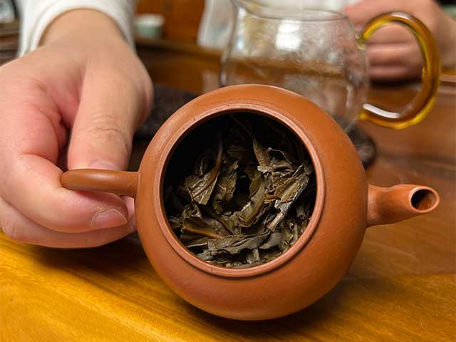 图为2000年易武乔木青饼茶底
