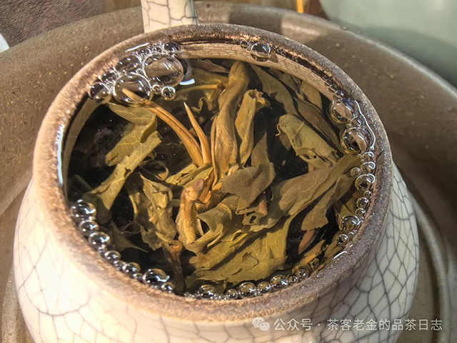2022年白茶园单株普洱茶品质特点