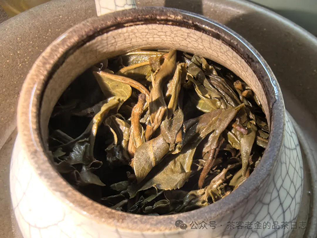 2022年白茶园单株普洱茶品质特点
