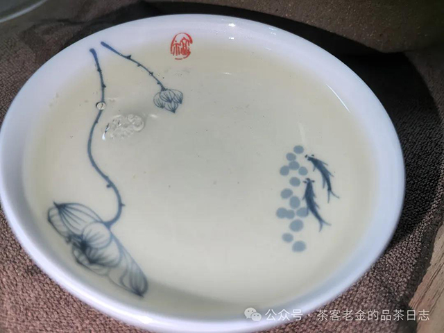 流星赶月普洱茶2024年猫耳朵单株品质特点
