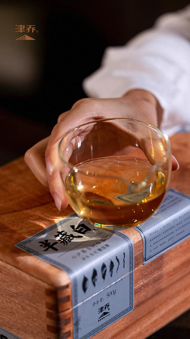 津乔普洱半藏白