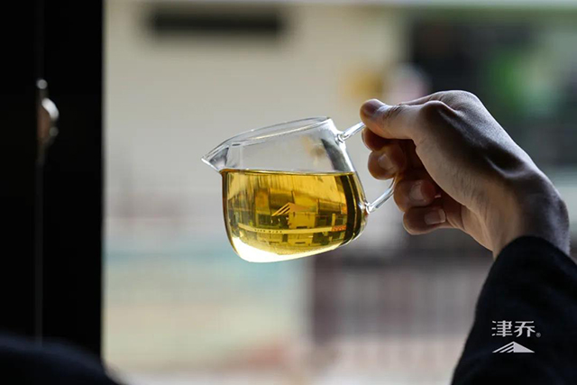 津乔普洱半藏白