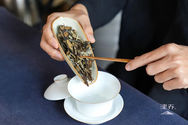 津乔普洱半藏白