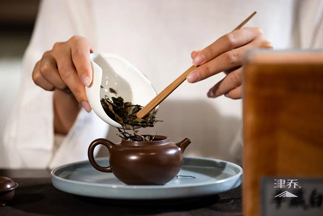 津乔普洱半藏白