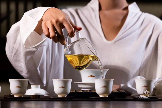 津乔普洱半藏白