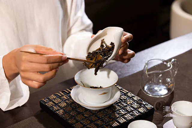 津乔普洱半藏白