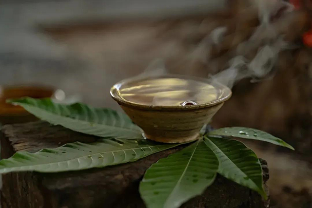 景迈山与武夷山茶与茶的对话