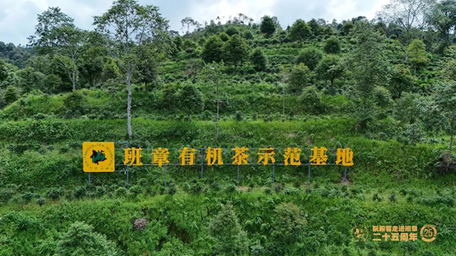 六大茶山