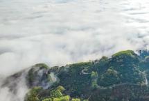 景迈山与武夷山“茶与茶的对话”即将开幕！