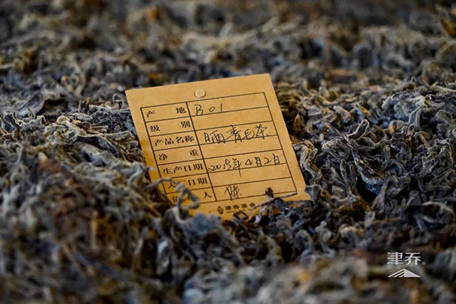 津乔普洱熟茶