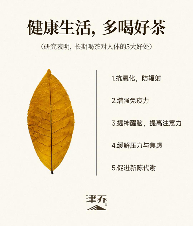 津乔普洱