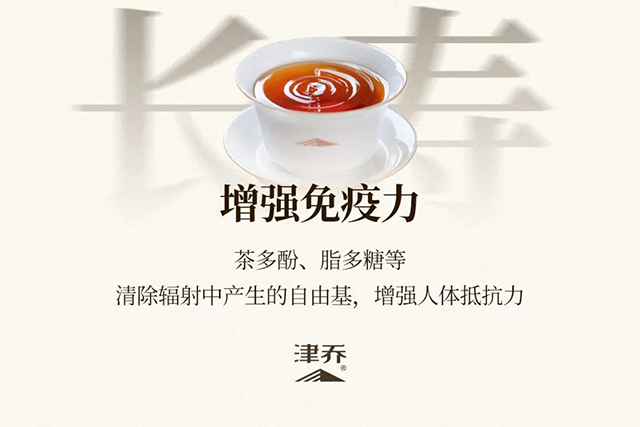 津乔普洱