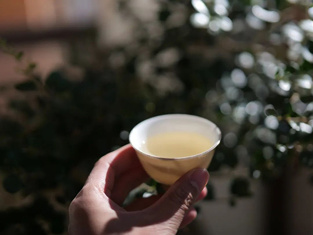 彤掌柜茶业